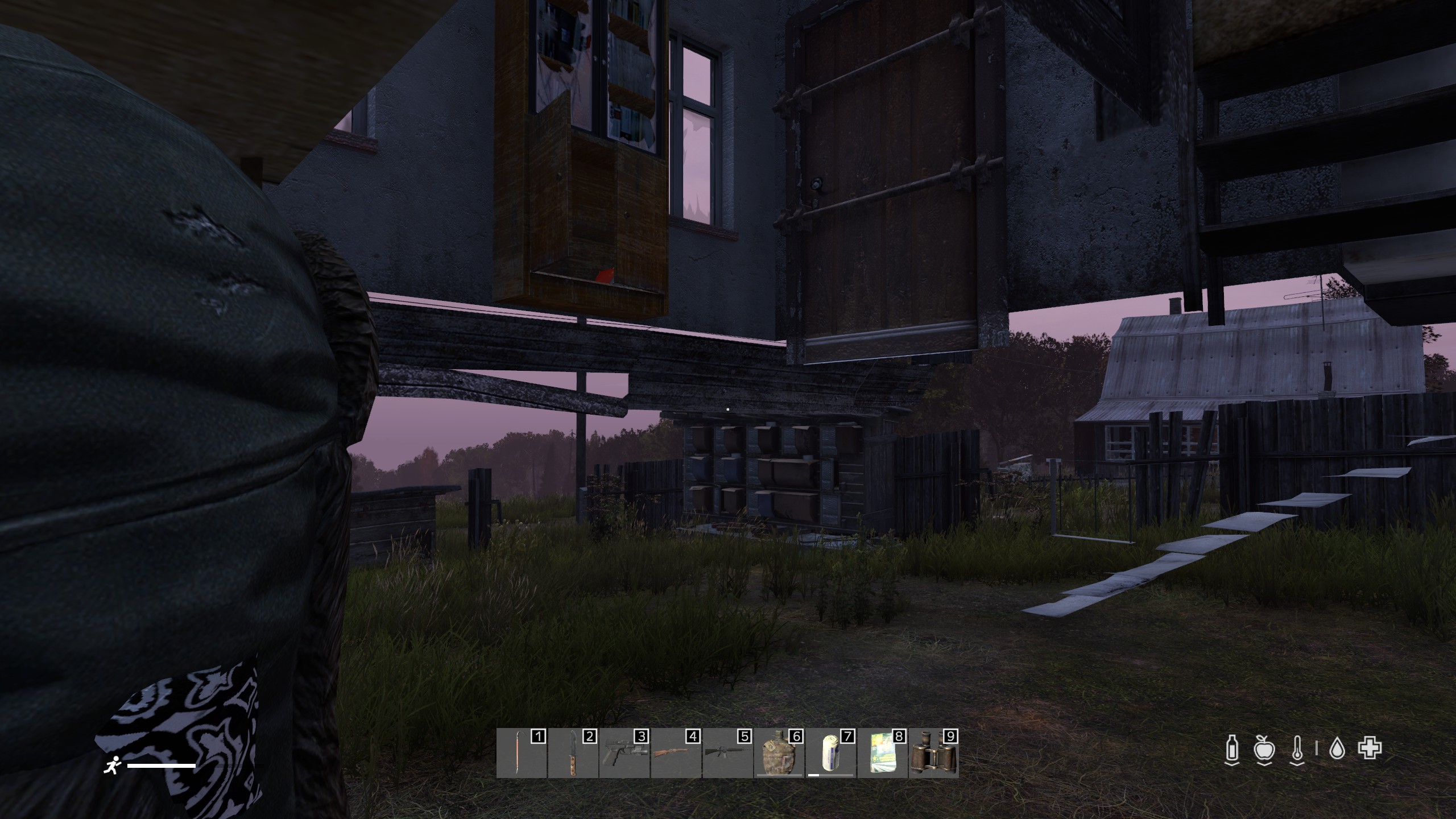 DayZ